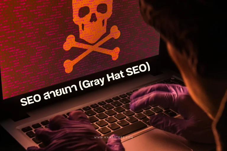 SEO สายเทา cover scaled