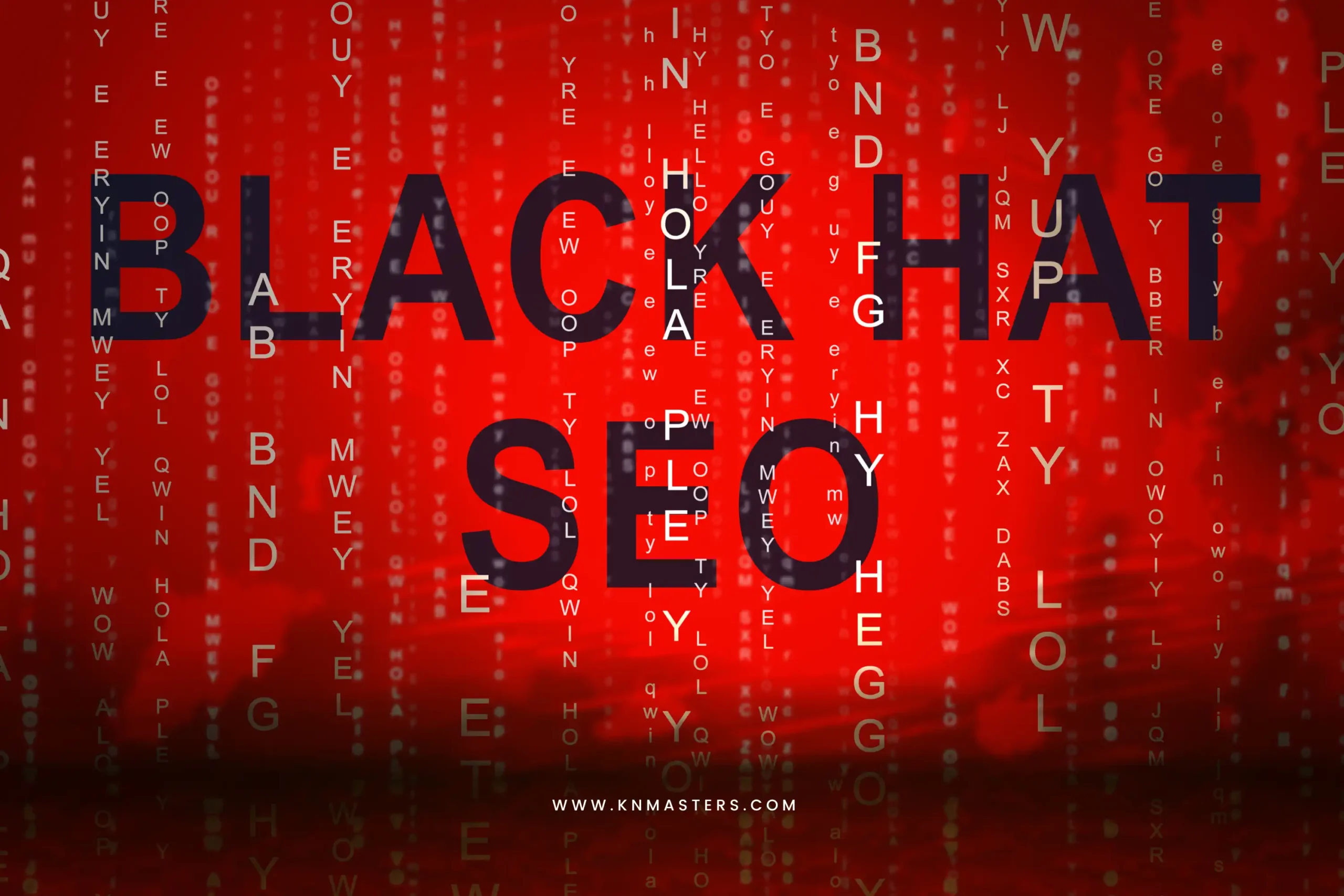 Black Hat SEO-cover