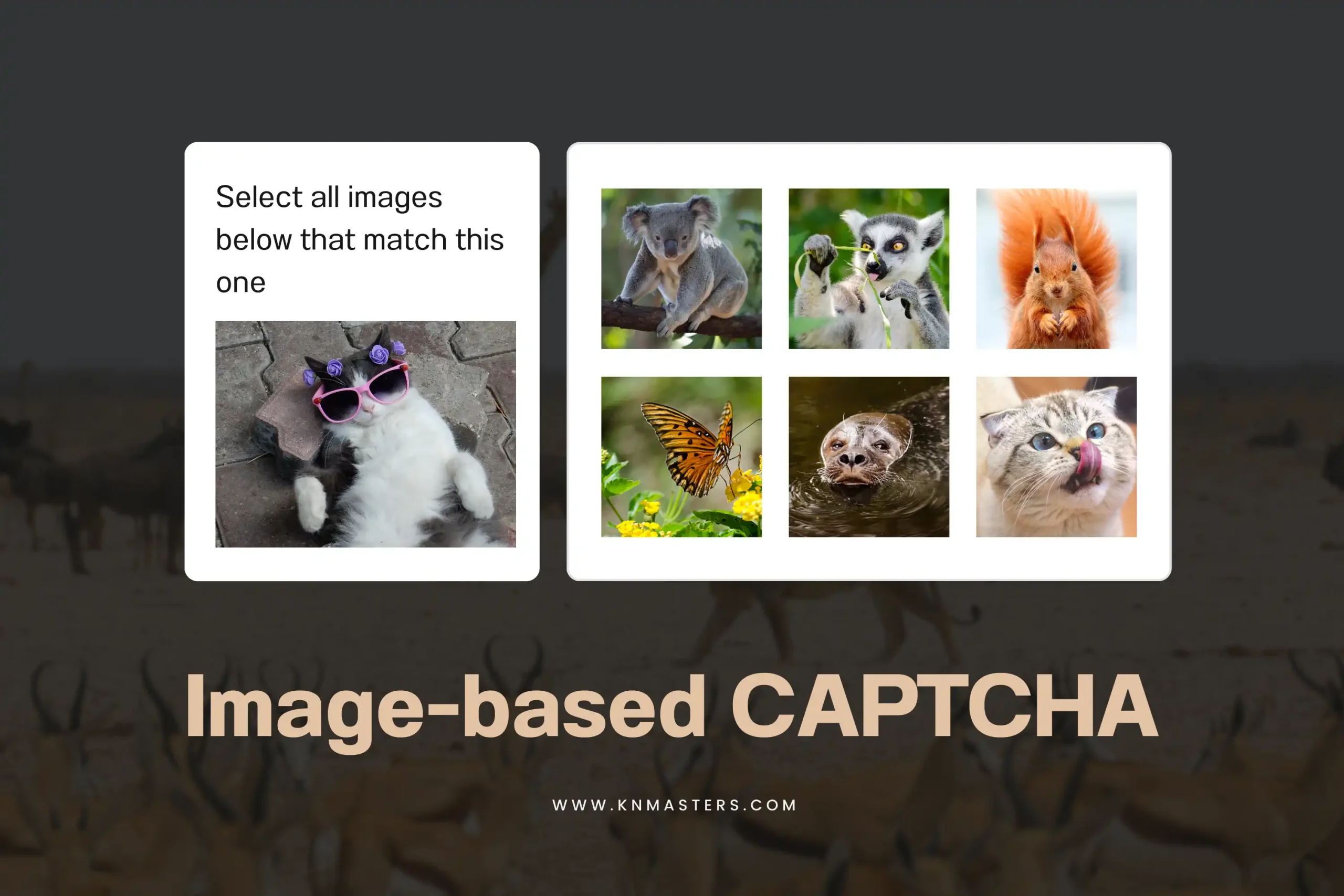 Image-based CAPTCHA-cover
